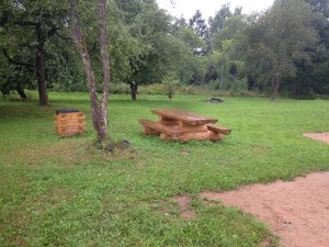 IMG_7448