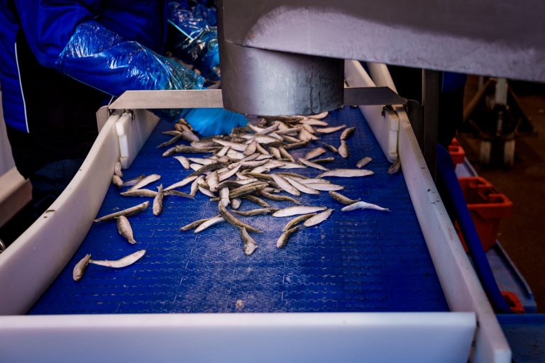 Eiropas līmenī tiek uzklausītas arī mūsu piekrastes kopienu balsis